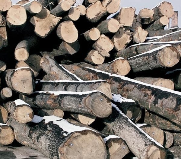 Signature Hardwoods - French Oak Timber